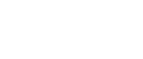 Drone AI Services