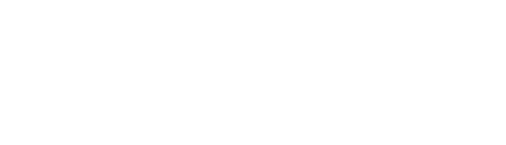 ILVEM